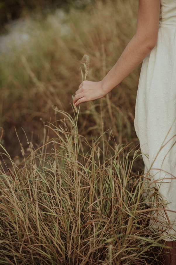 Gentle touch on dried grass